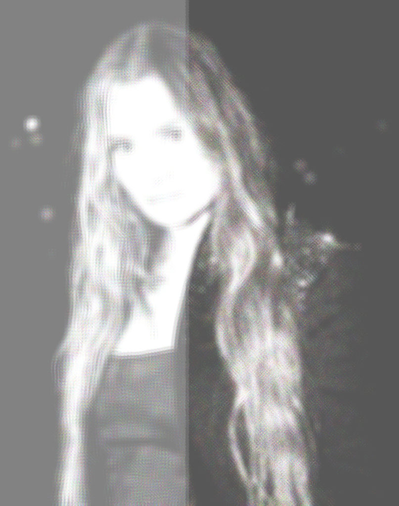 Anna Delvey Sorokin