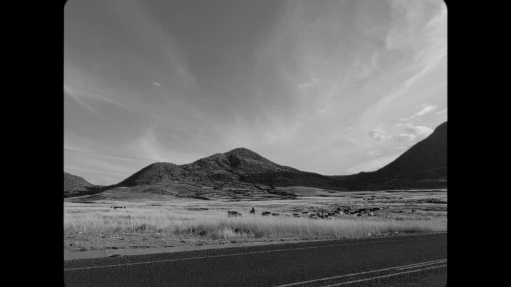 From “Let Them Be Seen”; image courtesy of BlackStar Projects